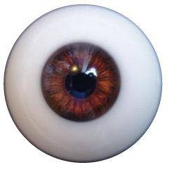 EYE COLOR - Image 3