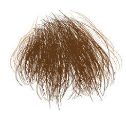 PUBIC HAIR - Image 2